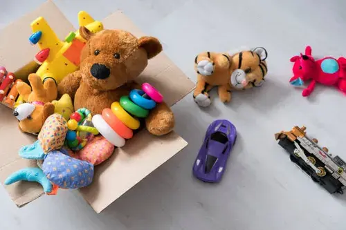 Electronic & Remote Control Toys